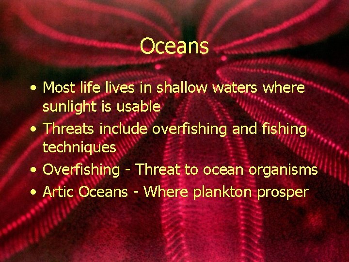 Oceans • Most life lives in shallow waters where sunlight is usable • Threats