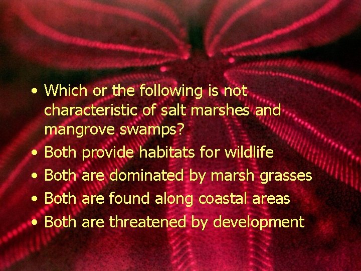  • Which or the following is not characteristic of salt marshes and mangrove