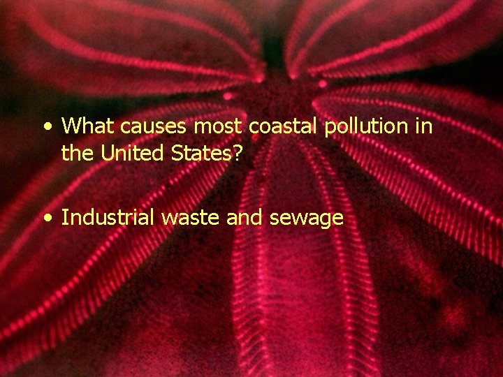  • What causes most coastal pollution in the United States? • Industrial waste