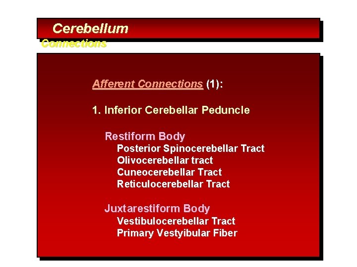 Cerebellum Connections Afferent Connections (1): 1. Inferior Cerebellar Peduncle Restiform Body Posterior Spinocerebellar Tract