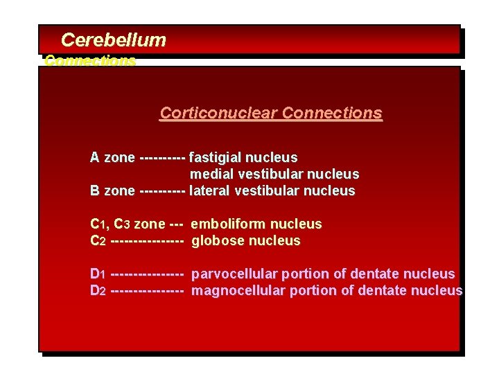 Cerebellum Connections Corticonuclear Connections A zone ----- fastigial nucleus medial vestibular nucleus B zone