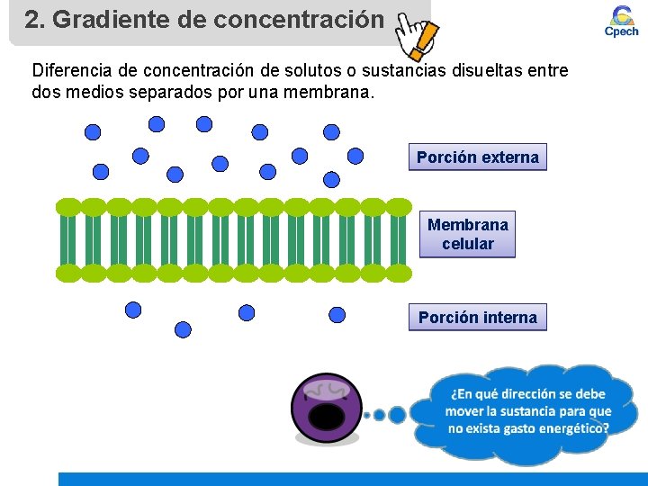 2. Gradiente de concentración Diferencia de concentración de solutos o sustancias disueltas entre dos