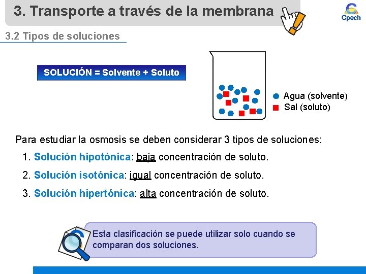 3. Transporte a través de la membrana 3. 2 Tipos de soluciones SOLUCIÓN =