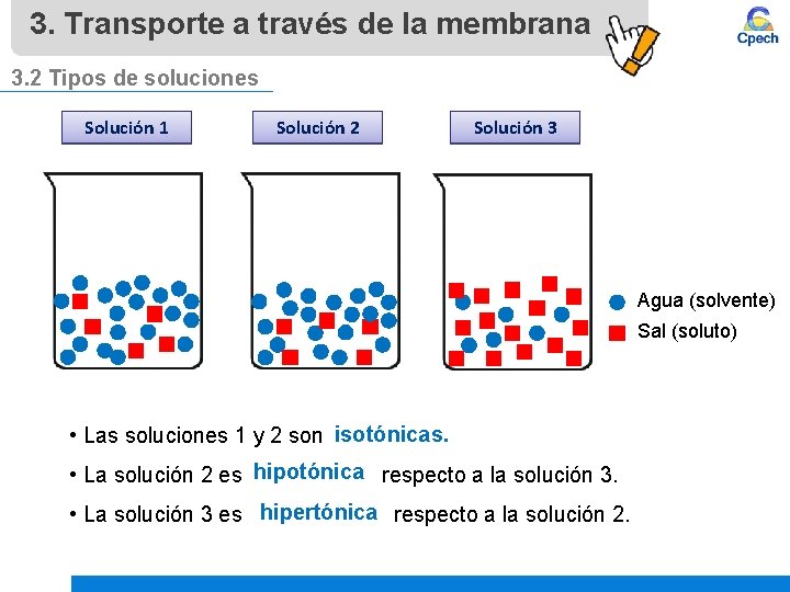 3. Transporte a través de la membrana 3. 2 Tipos de soluciones Solución 1