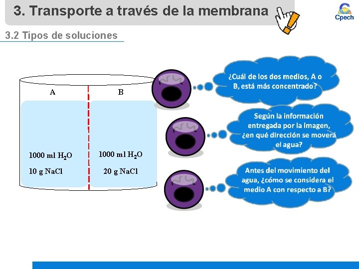 3. Transporte a través de la membrana 3. 2 Tipos de soluciones A B