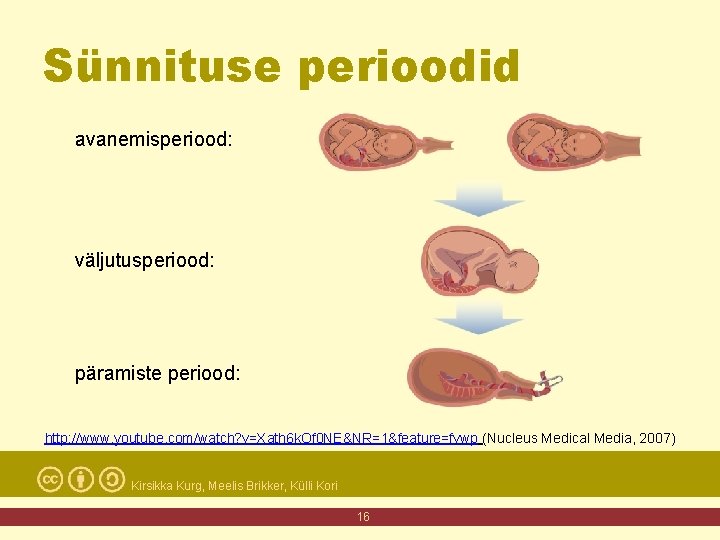 Sünnituse perioodid avanemisperiood: väljutusperiood: päramiste periood: http: //www. youtube. com/watch? v=Xath 6 k. Of