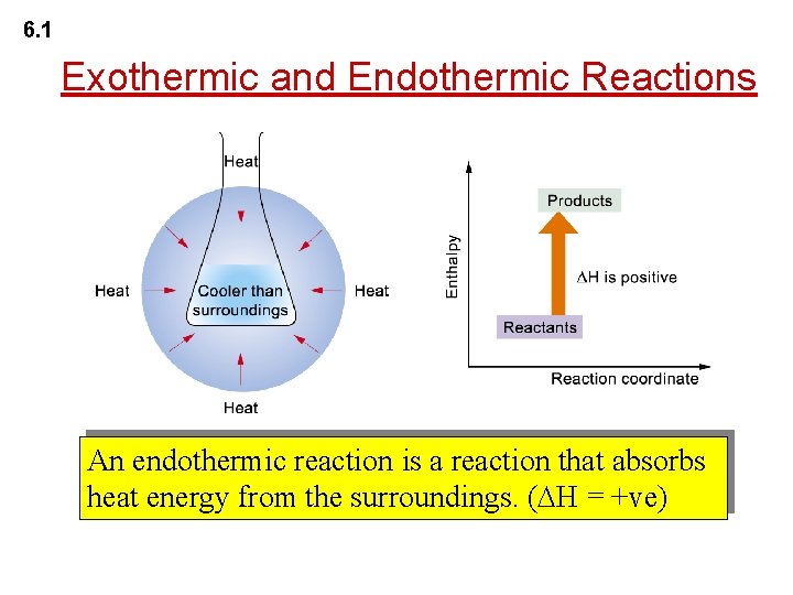 6. 1 Exothermic and Endothermic Reactions An endothermic reaction is a reaction that absorbs