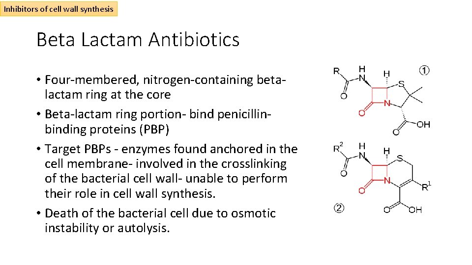 Inhibitors of cell wall synthesis Beta Lactam Antibiotics • Four-membered, nitrogen-containing betalactam ring at