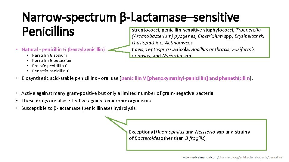 Narrow-spectrum β-Lactamase–sensitive streptococci, penicillin-sensitive staphylococci, Trueperella Penicillins (Arcanobacterium) pyogenes, Clostridium spp, Erysipelothrix • Natural