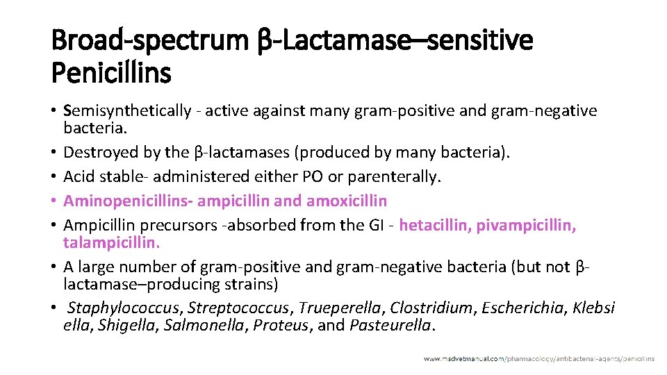 Broad-spectrum β-Lactamase–sensitive Penicillins • Semisynthetically - active against many gram-positive and gram-negative bacteria. •