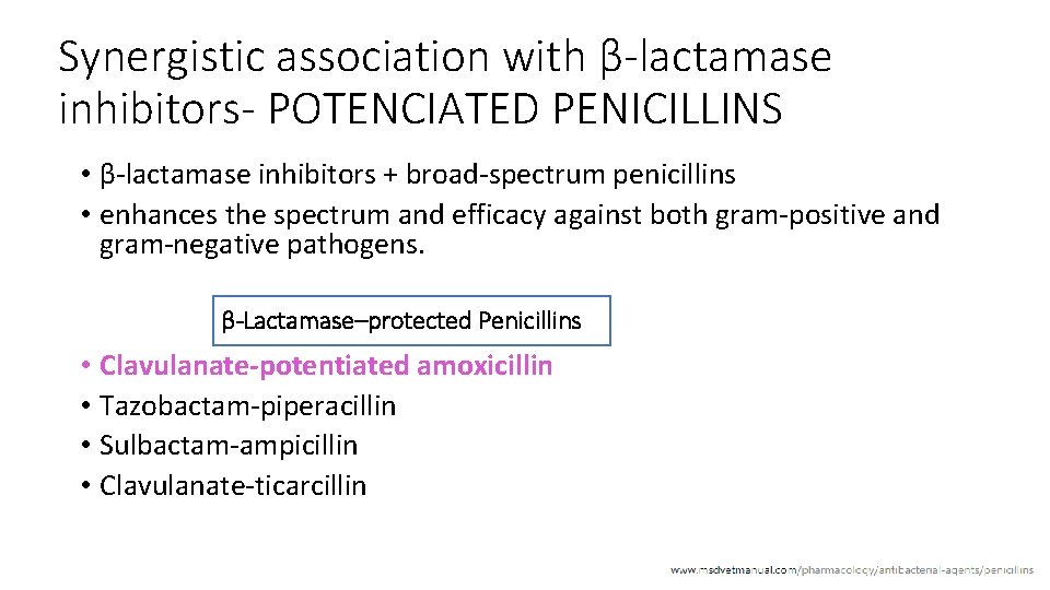 Synergistic association with β-lactamase inhibitors- POTENCIATED PENICILLINS • β-lactamase inhibitors + broad-spectrum penicillins •
