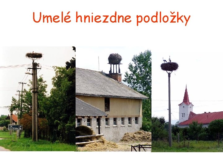 Umelé hniezdne podložky 