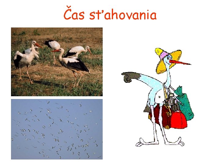 Čas sťahovania 