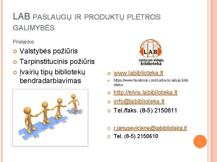 LAB PASLAUGŲ IR PRODUKTŲ PLĖTROS GALIMYBĖS Prielaidos Valstybės požiūris Tarpinstitucinis požiūris Įvairių tipų bibliotekų