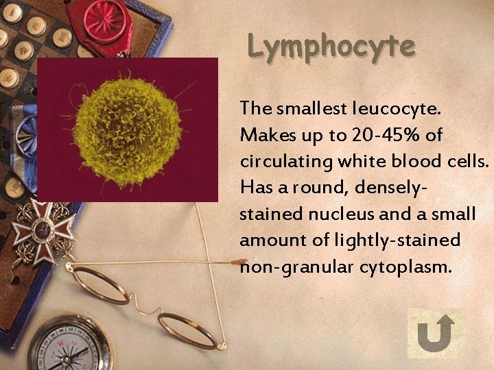 Lymphocyte The smallest leucocyte. Makes up to 20 -45% of circulating white blood cells.