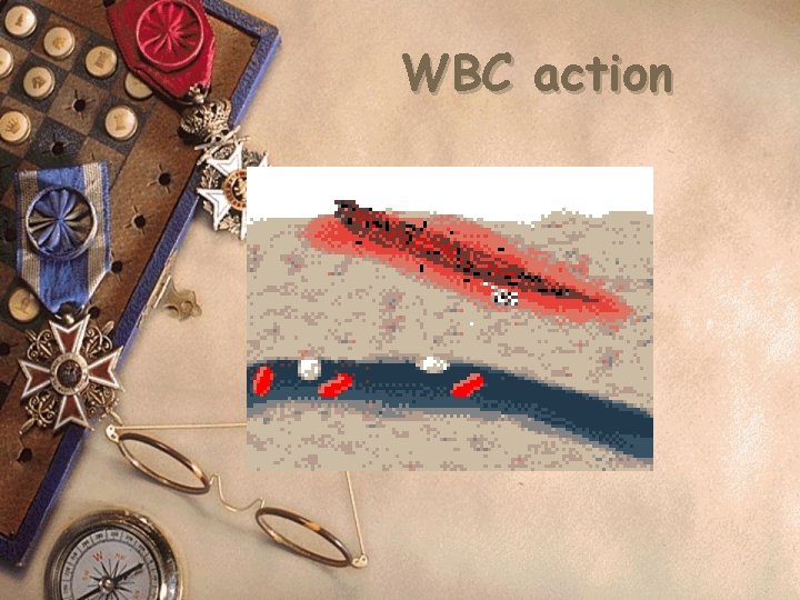 WBC action 