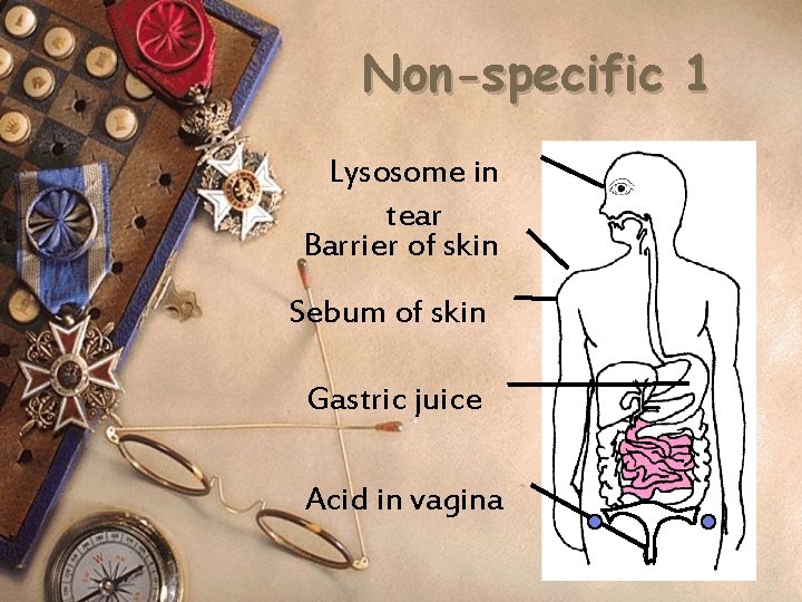 Non-specific 1 Lysosome in tear Barrier of skin Sebum of skin Gastric juice Acid