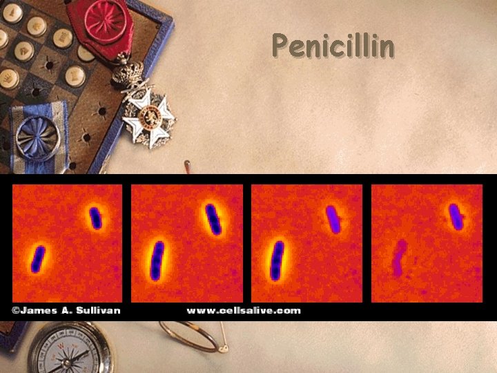 Penicillin 