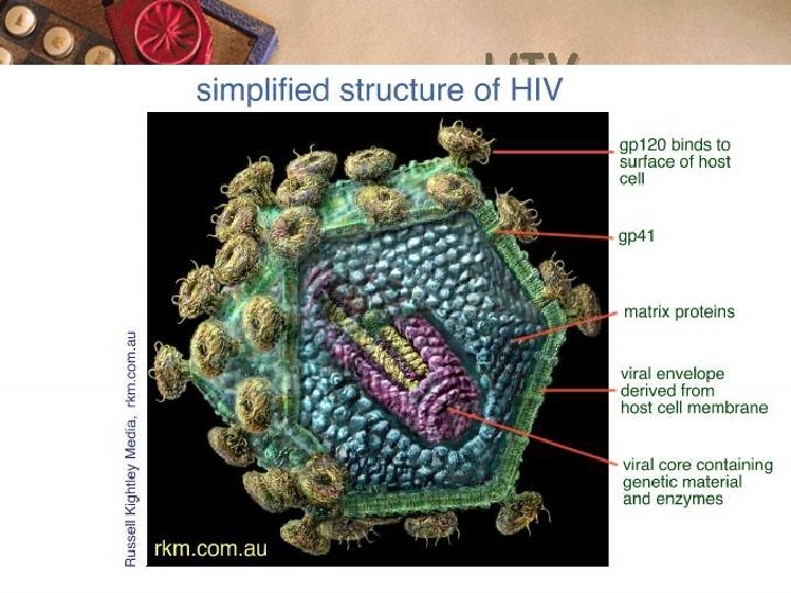 HIV 