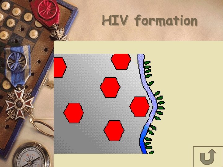 HIV formation 