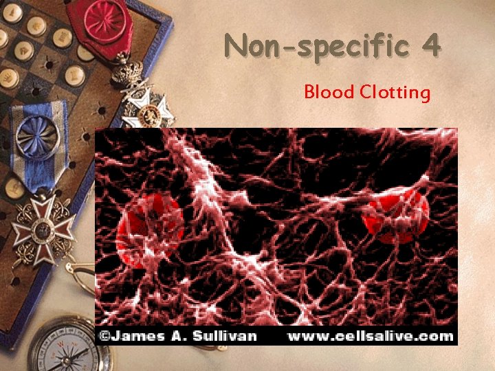 Non-specific 4 Blood Clotting 