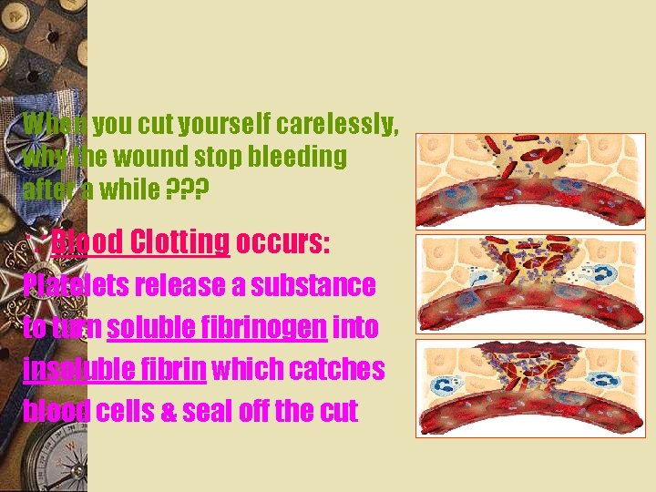 When you cut yourself carelessly, why the wound stop bleeding after a while ?