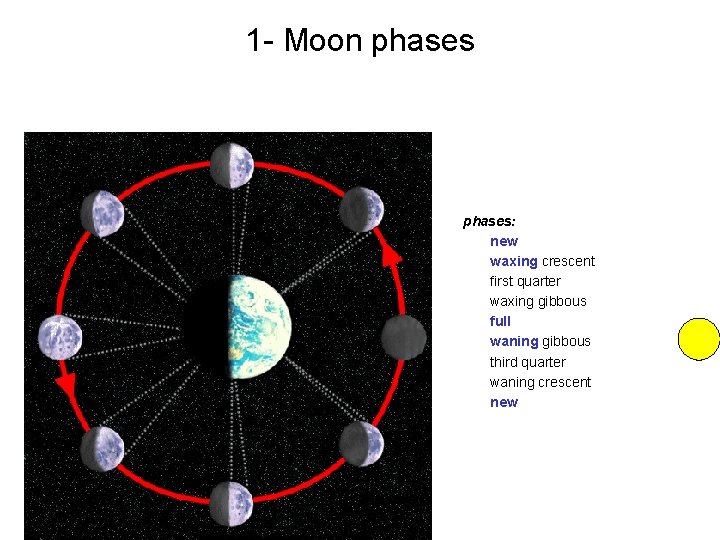 1 - Moon phases: new waxing crescent first quarter waxing gibbous full waning gibbous