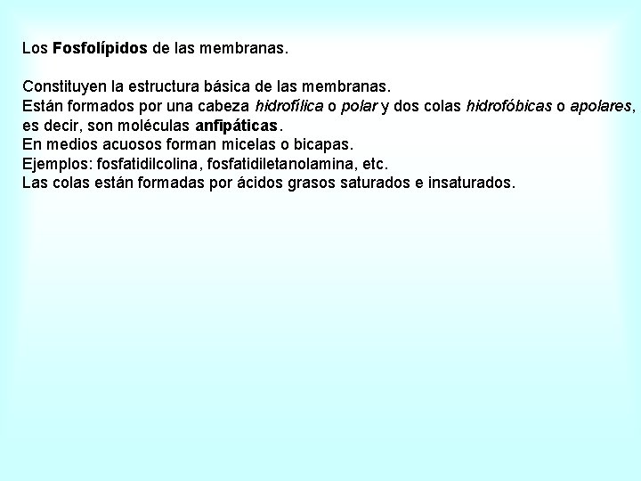 Los Fosfolípidos de las membranas. Constituyen la estructura básica de las membranas. Están formados