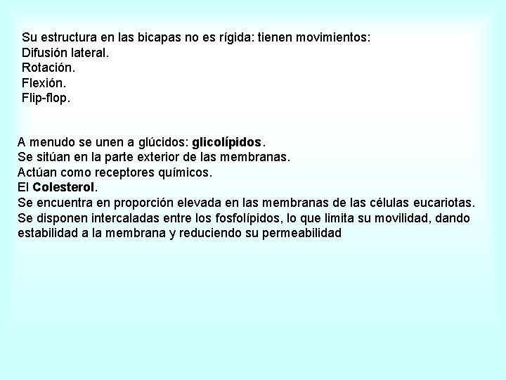  Su estructura en las bicapas no es rígida: tienen movimientos: Difusión lateral. Rotación.