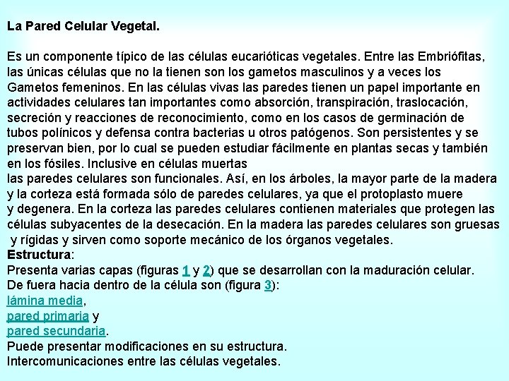 La Pared Celular Vegetal. Es un componente típico de las células eucarióticas vegetales. Entre