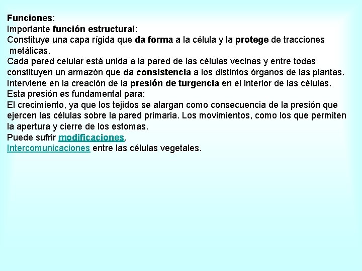  Funciones: Importante función estructural: Constituye una capa rígida que da forma a la