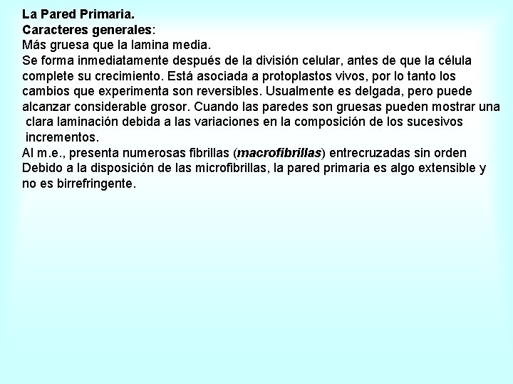 La Pared Primaria. Caracteres generales: Más gruesa que la lamina media. Se forma inmediatamente