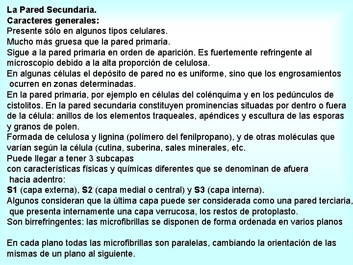 La Pared Secundaria. Caracteres generales: Presente sólo en algunos tipos celulares. Mucho más gruesa