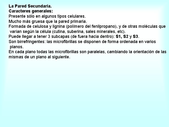 La Pared Secundaria. Caracteres generales: Presente sólo en algunos tipos celulares. Mucho más gruesa