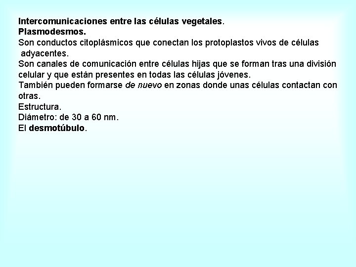 Intercomunicaciones entre las células vegetales. Plasmodesmos. Son conductos citoplásmicos que conectan los protoplastos vivos