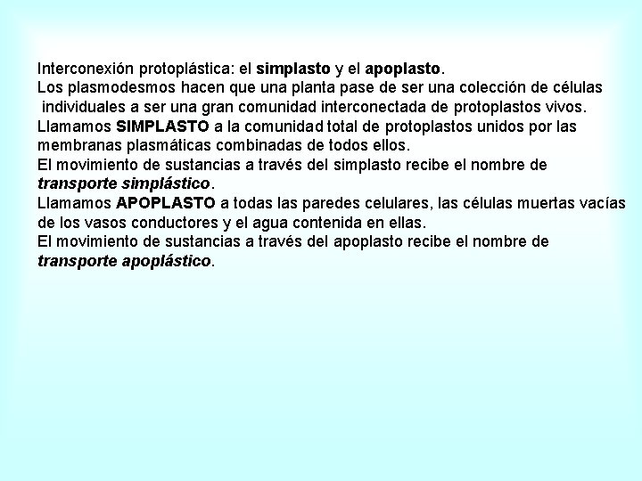 Interconexión protoplástica: el simplasto y el apoplasto. Los plasmodesmos hacen que una planta pase