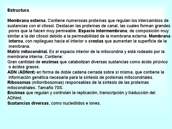 Estructura. Membrana externa. Contiene numerosas proteínas que regulan los intercambios de sustancias con el