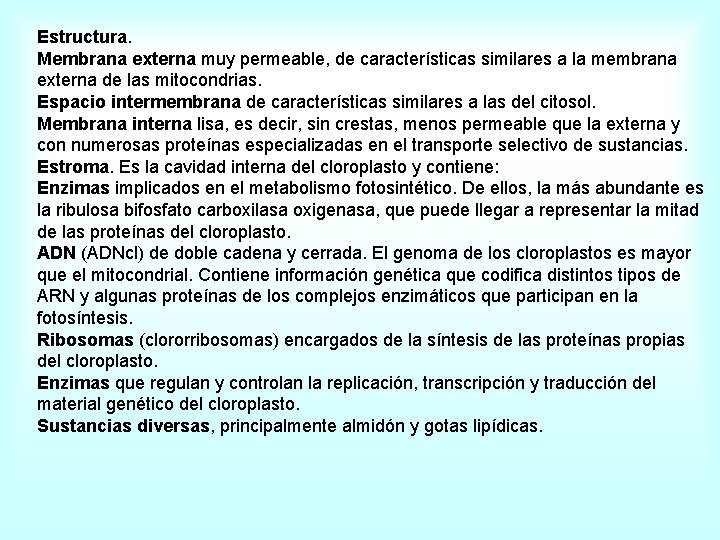 Estructura. Membrana externa muy permeable, de características similares a la membrana externa de las