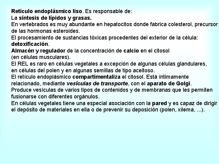 Retículo endoplásmico liso. Es responsable de: La síntesis de lípidos y grasas. En vertebrados