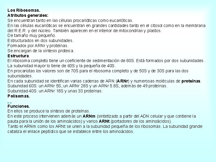 Los Ribosomas. Atributos generales: Se encuentran tanto en las células procarióticas como eucarióticas. En