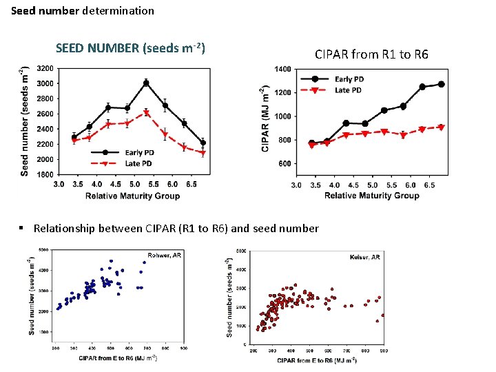 Seed number determination SEED NUMBER (seeds m-2) CIPAR from R 1 to R 6