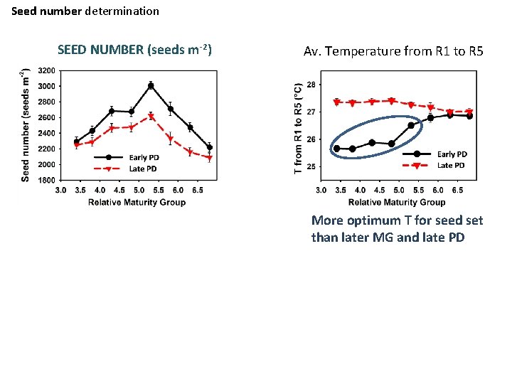 Seed number determination SEED NUMBER (seeds m-2) Av. Temperature from R 1 to R