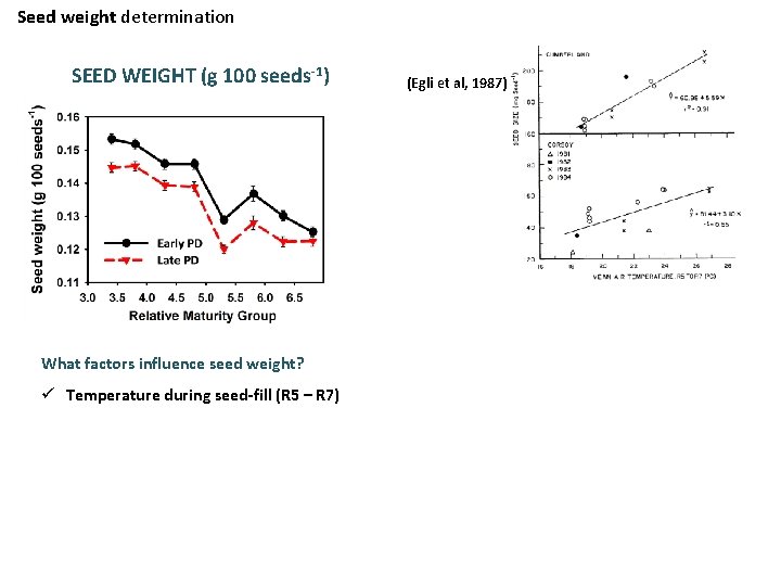 Seed weight determination SEED WEIGHT (g 100 seeds-1) What factors influence seed weight? ü