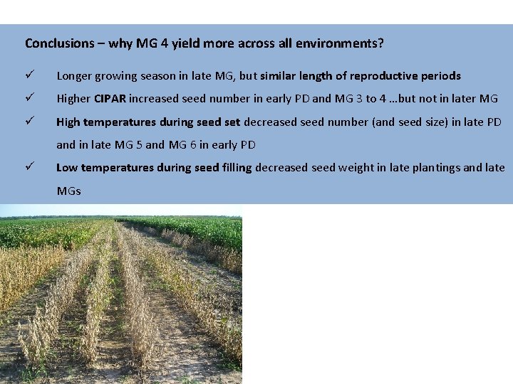 Soybean regional PD x MG study Conclusions – why MG 4 yield more across