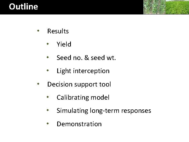 Outline • • Results • Yield • Seed no. & seed wt. • Light