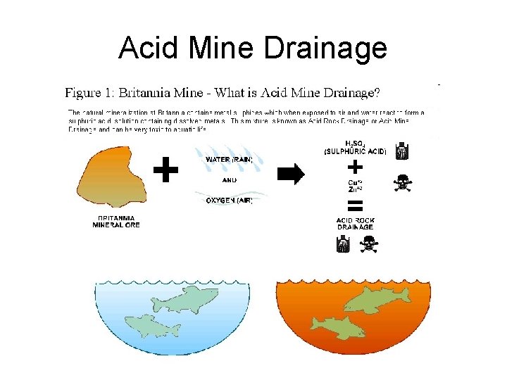 Acid Mine Drainage 