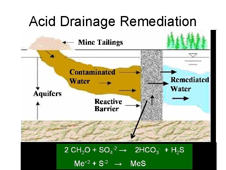 Acid Drainage Remediation 