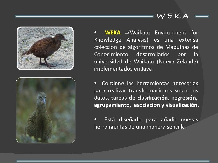 WEKA • WEKA =(Waikato Environment for Knowledge Analysis) es una extensa colección de algoritmos