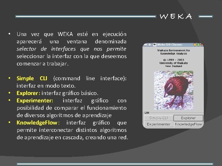 WEKA • Una vez que WEKA esté en ejecución aparecerá una ventana denominada selector