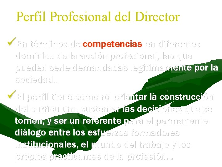 Perfil Profesional del Director En términos de competencias en diferentes dominios de la acción